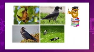 Литературное чтение. 2 класс. Художественный и научно-познавательный текст /13.04.2021/