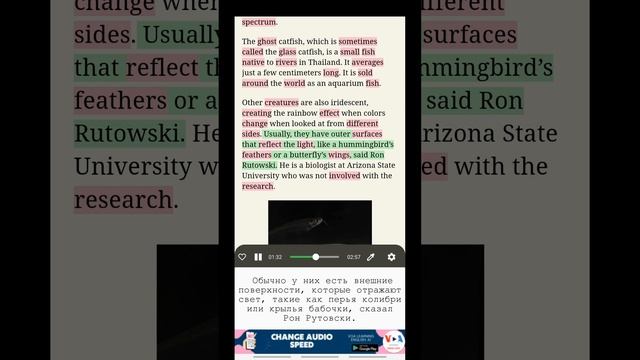 Изучайте английский с VOA: Ученые выяснили, как рыба создает разноцветный свет смотреть онлайн