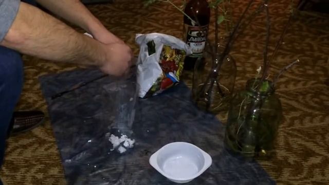 Как садить чубуки (саженцы) винограда. смотреть онлайн