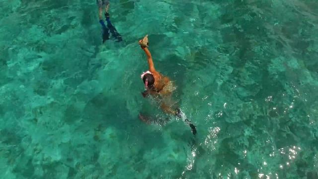 DIVING For Lobsters And Conch In GRAND BAHAMA
