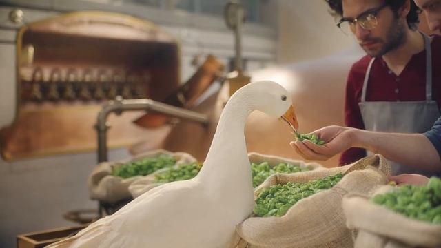 Жатецкий Гусь — Хмелепад смотреть онлайн