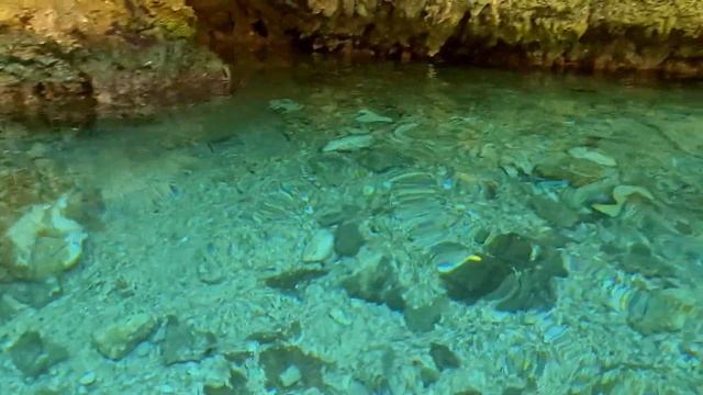 XCARET PARK | The Complete Guide In Under 5 minutes смотреть онлайн