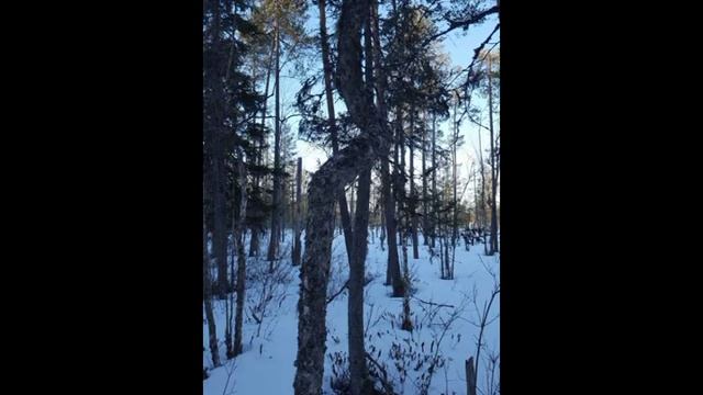 Карелия 2020 зима смотреть онлайн