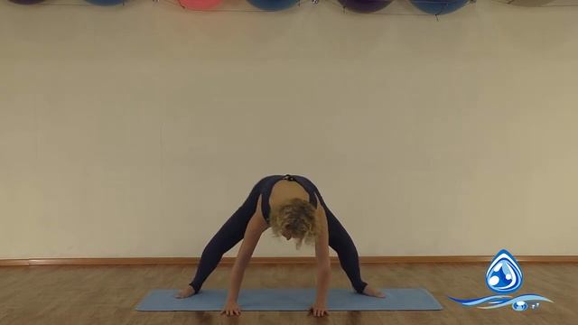 Упражнение Танец кенгуру. Упражнения гимнастики «Капля» смотреть онлайн