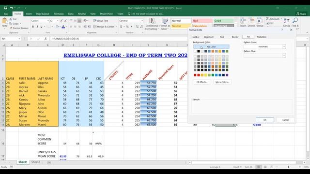 Worksheet Formatting using Microsoft Excel смотреть онлайн