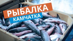 Рыбалка на Камчатке. Усть - Камчатск