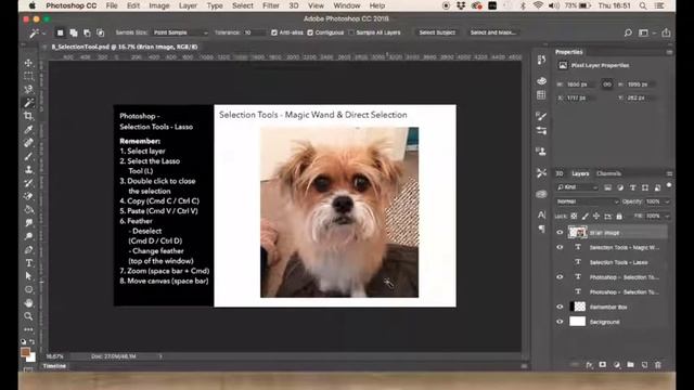 Photoshop Magic Wand and Direct Selection смотреть онлайн