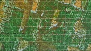 Самая, самая лучшая спутниковая карта для грибников!!!