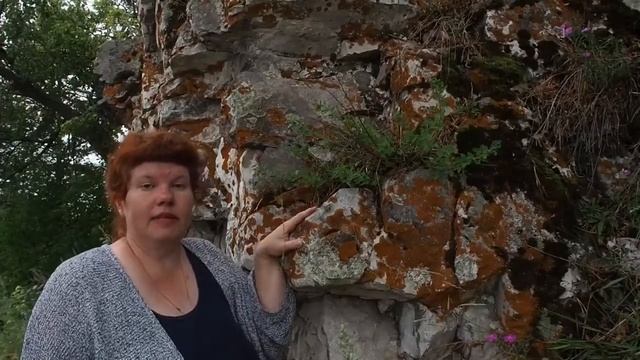 Ботанический квартирник. Выпуск №25. Камень в оформлении сада смотреть онлайн