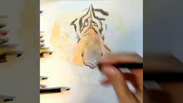 Рисование цветными карандашами