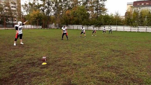 MOSCOW RED FALCONS - Командный профайл