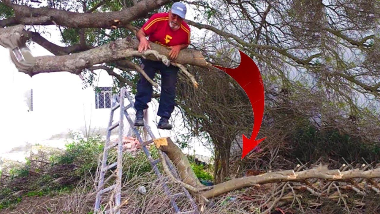 Когда у лесорубов что-то пошло не так смотреть онлайн