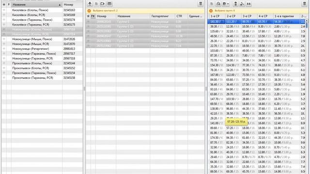 Дезинсекция реклама в Яндекс.Директ, Google.Adwords (дезинфекция, дератизация)