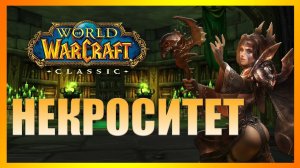 Гайд по подземелью Некроситет  WOW Classic