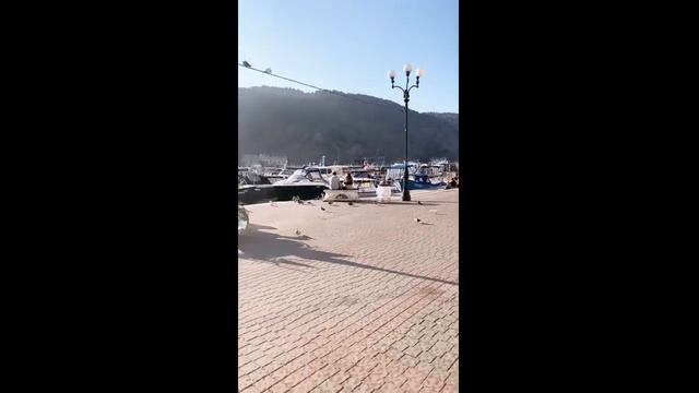 Эффектная Анна Хилькевич 2019-10-18 смотреть онлайн