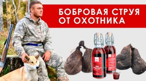 Бобровая струя купить у охотника. Где купить? Цена у охотника на мускус, кастореум, настойка, сухая