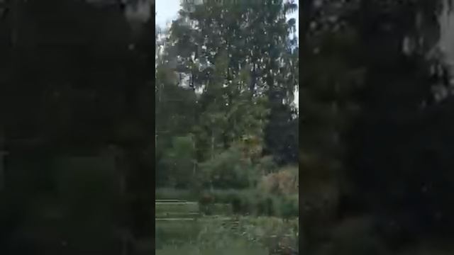 Озеро Велье. Приглашаем на отдых. Катер. Рыбалка. смотреть онлайн