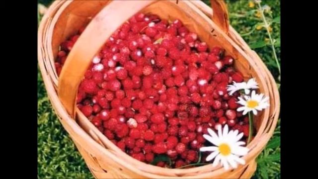 Земляничная поляна.wmv смотреть онлайн