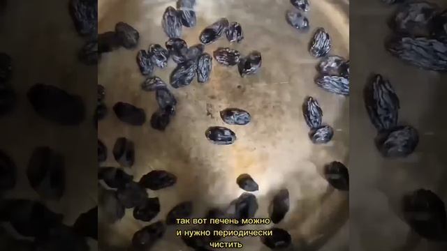 Как почистить печень после вредной пищи и алкоголя смотреть онлайн