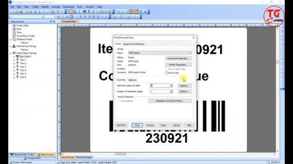 How to create PDF file in BarTender labeling software | BarTender Software में PDF कैसे create करें