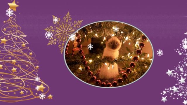 Кошки и новогодние елки смотреть онлайн