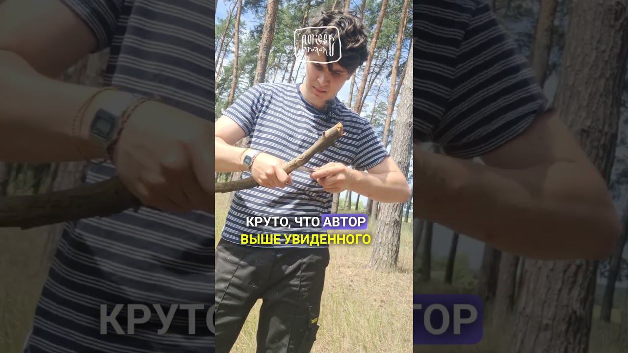 ТАК НОЖОМ ЛУЧШЕ НЕ ДЕЛАТЬ! #бушкрафт #выживание #forestroach #diy #ножи #охота #рыбалка смотреть онлайн
