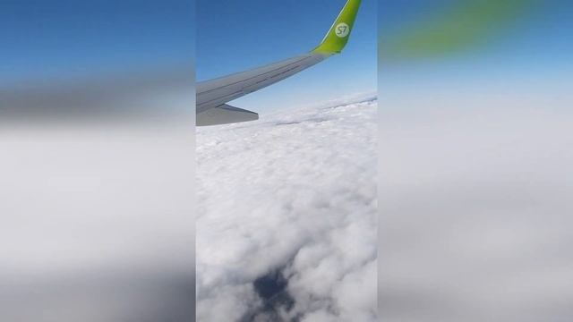 Перелёт Москва - Сочи авиакомпания S7 Airlines Boeing 737-800 смотреть онлайн