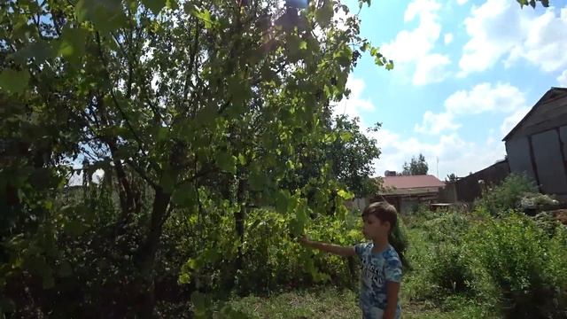 КАК ПРОХОДИТ МОЙ ДЕНЬ /ЭКСКУРСИЯ ПО ОГОРОДУ/ОБЗОР БЛЕНДЕРА. смотреть онлайн