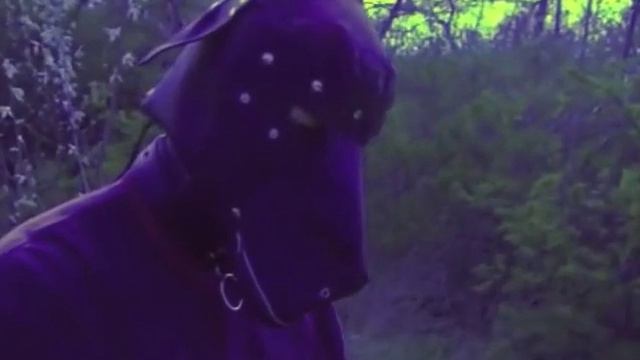 Mac DeMarco - I Was A Fool To Care смотреть онлайн