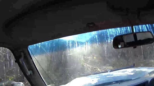 охота на лося с западно сибирскими лайками смотреть онлайн