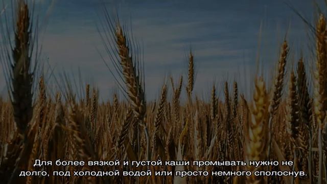 Пшеничная каша на воде смотреть онлайн