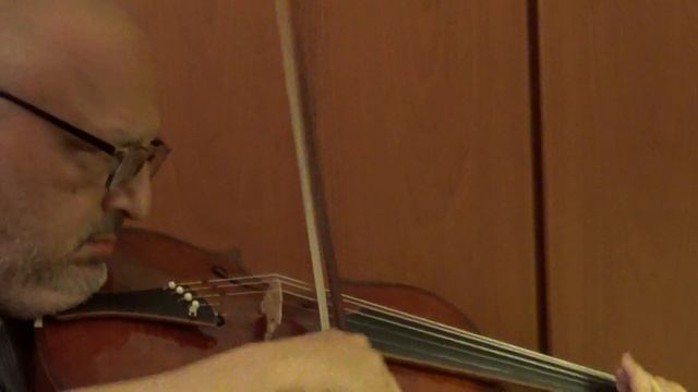 Bach Suite N. 6, Allemande Fragment, Paul Cortese, Quinto, A 5 String Viola By Daniel Hoffman