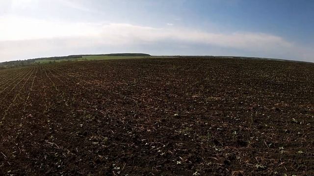 Удобрения на Подсолнечнике смотреть онлайн