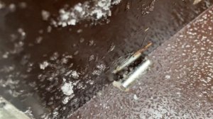 Прицеп Крепыш 2.0 после года эксплуатации