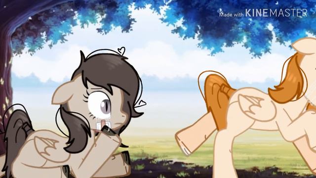 Пони клип/meme?..~Киса должен уйти..~ смотреть онлайн