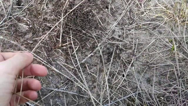 Руководство к Креативному Искусству