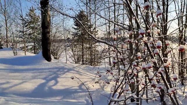 Настоящая зимняя сказка! / Красота и релаксация/ смотреть онлайн