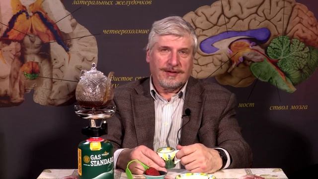 С. Савельев Сколько надо читать смотреть онлайн