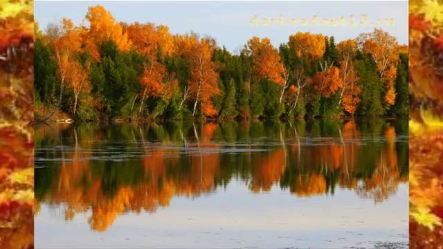 Золотая осень! Golden Autumn! смотреть онлайн
