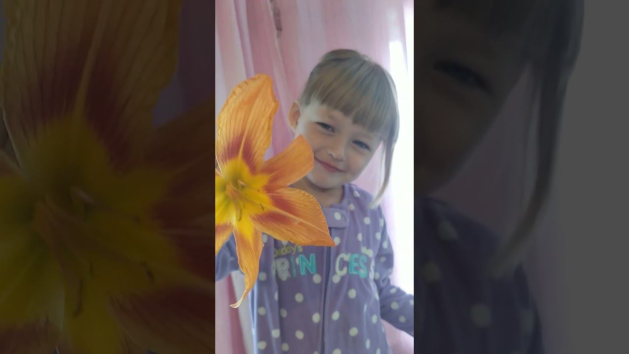 13 июля 2024 г. смотреть онлайн