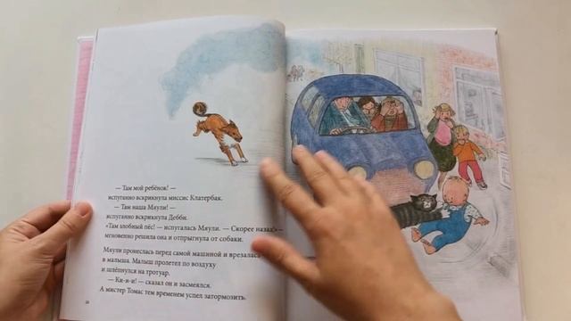 Новые книги для сына. Мяули, Смыш и Рой, Скрябка отшельник смотреть онлайн