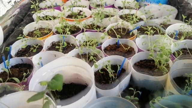 Фотография Моды и Глянцевых Журналов