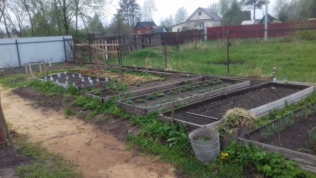 Купили заброшенную дачу \ изменения спустя год \ как изменился участок смотреть онлайн