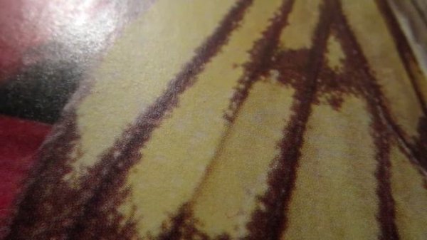 Развивающие игры. Игра"Представь себя дождем"Educational games