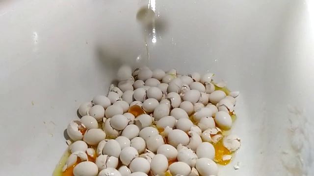 Уничтожаем 200 куриных яиц! Высыпаем 7 кг. яиц в ванную! 6+ смотреть онлайн