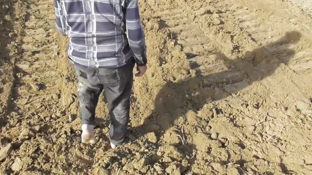 Корень солодки неожиданно отдался нам. 17. 07. 2017 смотреть онлайн