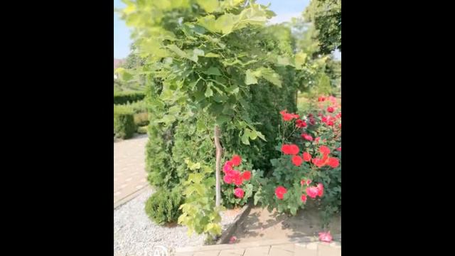 2021 06 14 Великовечное смотреть онлайн
