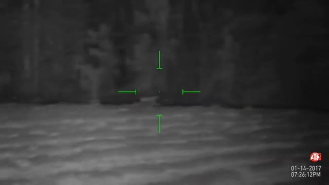 Ночная охота с Прицелом ночного видения ATN X SIGHT смотреть онлайн