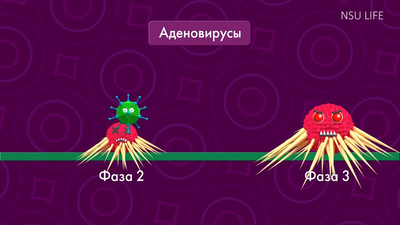 По лабам. Вирусное видео