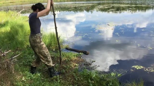 Сосновое озеро, ковровое болото (Западная Сибирь) - измеряем глубину смотреть онлайн